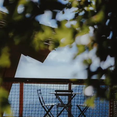 Chartreuse Insolite - La Trafolle 山林小屋 圣皮耶尔德沙尔特勒斯